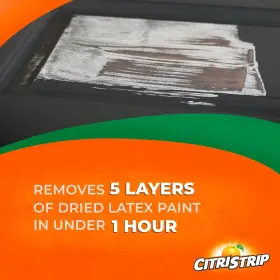 Ecsg841am Brand Citristrip Stripping Gel 40 Oz. Fl Oz Pack Of 1 Orange #2