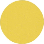 Norton 02463 Sanding Disc, 9 Dia, Coated, P150 Grit, Fine, Aluminum Oxide Abr. Fixed Price $13.82.