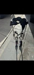Marshalltown Skywalker 2.0 Stilts 20"-40" Drywall Painting. Fixed Price $275.00.